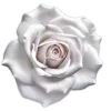 🤍 Эмодзи «Elegance» для Telegram