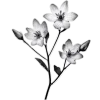 🤍 Эмодзи «Elegance» для Telegram