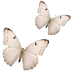 🤍 Эмодзи «Elegance» для Telegram