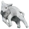 🐑 Эмодзи «🍥» для Telegram