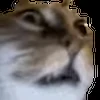 🤪 Эмодзи «emotes» для Telegram