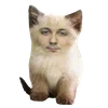 😼 Эмодзи «🤙 Глад Валакас» для Telegram