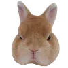 🐰 Эмодзи «🤙 Глад Валакас» для Telegram
