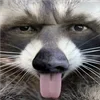 🦝 Эмодзи «🤙 Глад Валакас» для Telegram