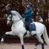 🧚 Эмодзи «Equestrian 20 Part» для Telegram