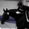 🍩 Эмодзи «Equestrian 20 Part» для Telegram