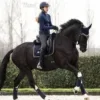 🕋 Эмодзи «Equestrian 20 Part» для Telegram