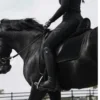 🪶 Эмодзи «Equestrian 20 Part» для Telegram