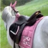 🌺 Эмодзи «Equestrian 20 Part» для Telegram