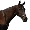 Эмодзи Equestrian 20 Part для Telegram — скачать