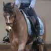 🫐 Эмодзи «Equestrian 20 Part» для Telegram