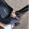 ✔️ Эмодзи «Equestrian 20 Part» для Telegram