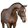 💗 Эмодзи «Equestrian 20 Part» для Telegram