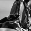 🎱 Эмодзи «Equestrian 20 Part» для Telegram