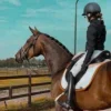 💋 Эмодзи «Equestrian 20 Part» для Telegram