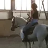 🫶 Эмодзи «Equestrian 20 Part» для Telegram