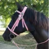 🪽 Эмодзи «Equestrian 20 Part» для Telegram