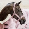 🫦 Эмодзи «Equestrian 20 Part» для Telegram