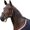 🌊 Эмодзи «Equestrian 20 Part» для Telegram