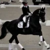 🫙 Эмодзи «Equestrian 20 Part» для Telegram