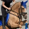 🦕 Эмодзи «Equestrian 20 Part» для Telegram