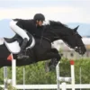 ♟ Эмодзи «Equestrian 20 Part» для Telegram