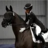 🎬 Эмодзи «Equestrian 20 Part» для Telegram