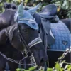 💎 Эмодзи «Equestrian 20 Part» для Telegram