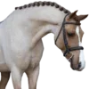 💝 Эмодзи «Equestrian 20 Part» для Telegram