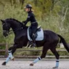 🛹 Эмодзи «Equestrian 20 Part» для Telegram