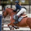 💳 Эмодзи «Equestrian 20 Part» для Telegram