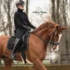💅 Эмодзи «Equestrian 20 Part» для Telegram