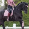 🫀 Эмодзи «Equestrian 20 Part» для Telegram