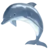 🐬 Эмодзи «Eric Cartman Random» для Telegram