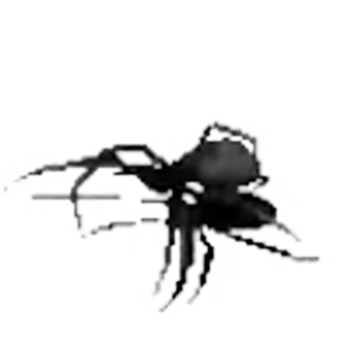🌟 Эмодзи «black&amp;white» для Telegram
