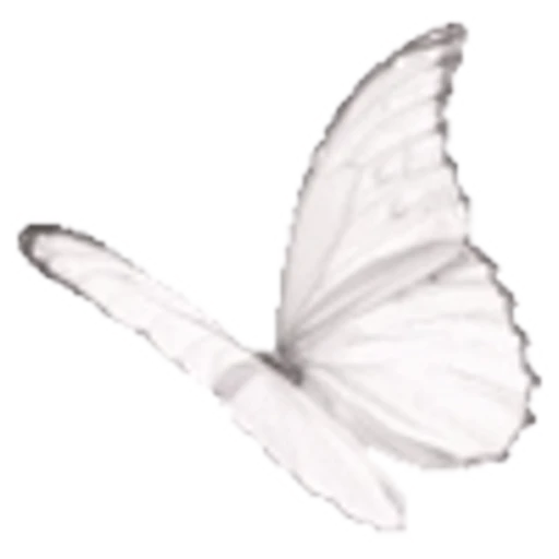 🌟 Эмодзи «black&amp;white» для Telegram
