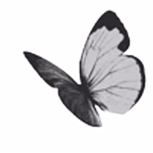 🦋 Эмодзи «black&amp;white» для Telegram