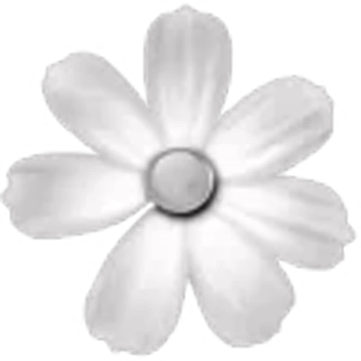 🌼 Эмодзи «black&amp;white» для Telegram