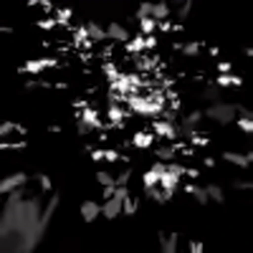 🌟 Эмодзи «black&amp;white» для Telegram