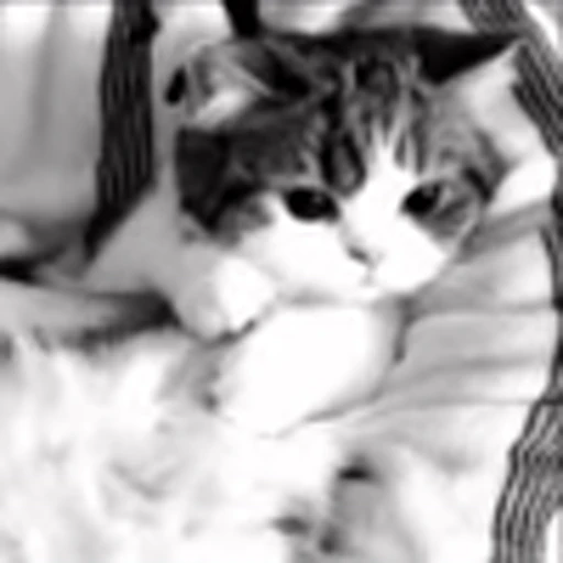 🌟 Эмодзи «black&amp;white» для Telegram