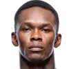 🇳🇬 Эмодзи «Ufc» для Telegram