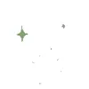 ✨ Эмодзи «Green #color #green #cute» для Telegram