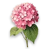 🌸 Эмодзи «My forest Fairy - лесной вайбик» для Telegram