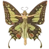 🦋 Эмодзи «My forest Fairy - лесной вайбик» для Telegram