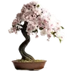 🌸 Эмодзи «Fairy Core» для Telegram