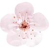 🌸 Эмодзи «Fairy Core» для Telegram