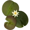 🍵 Эмодзи «Fairy Core» для Telegram