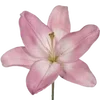 🌸 Эмодзи «Fairy Core» для Telegram