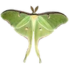 🦋 Эмодзи «Fairy Core» для Telegram