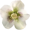 🌸 Эмодзи «Fairy Core» для Telegram